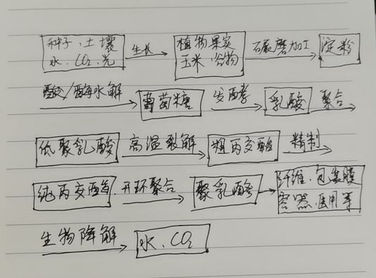 生物降解袋中的PLA是如何制得的？(圖1)
